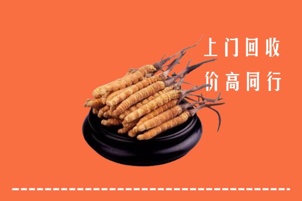 高价求购：丰市海回收散虫草
