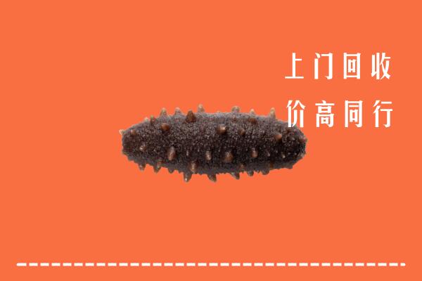 高价求购：丰市海回收海参