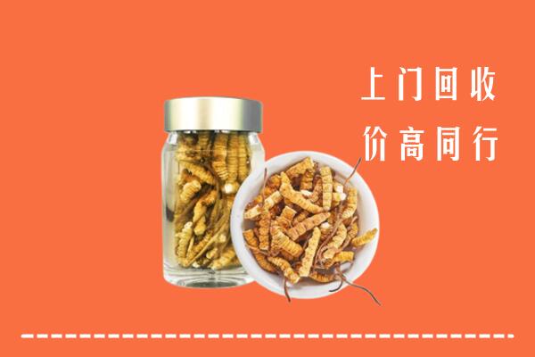 丰市海回收冬虫夏草