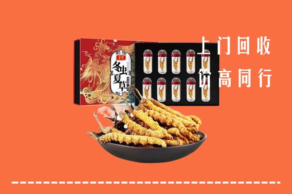 丰市海回收虫草